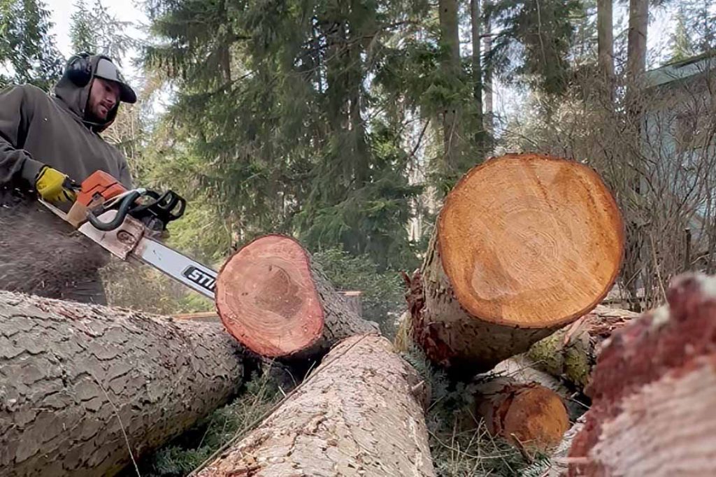 operating a chainsaw